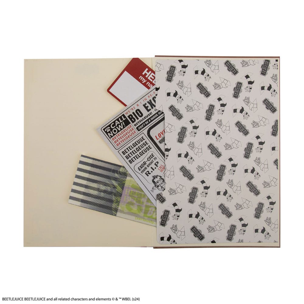 Beetlejuice carnet Handbook for the Recently Deceased