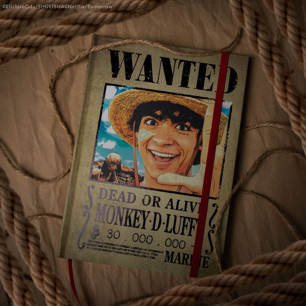 One Piece carnet Wanted Posters