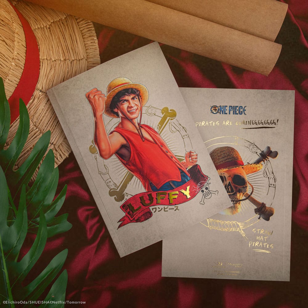 One Piece carnet Luffy