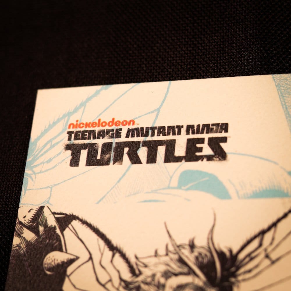 Tortues Ninja lithographie Comic Limited Edition 42 x 30 cm