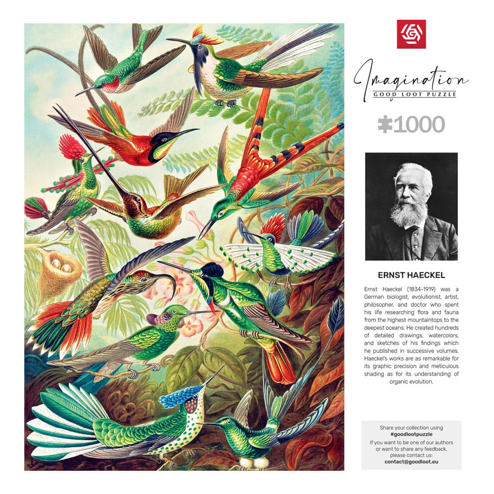 Ernst Haeckel puzzle Imagination Hummingbirds/Kolibry (1000 pièces)