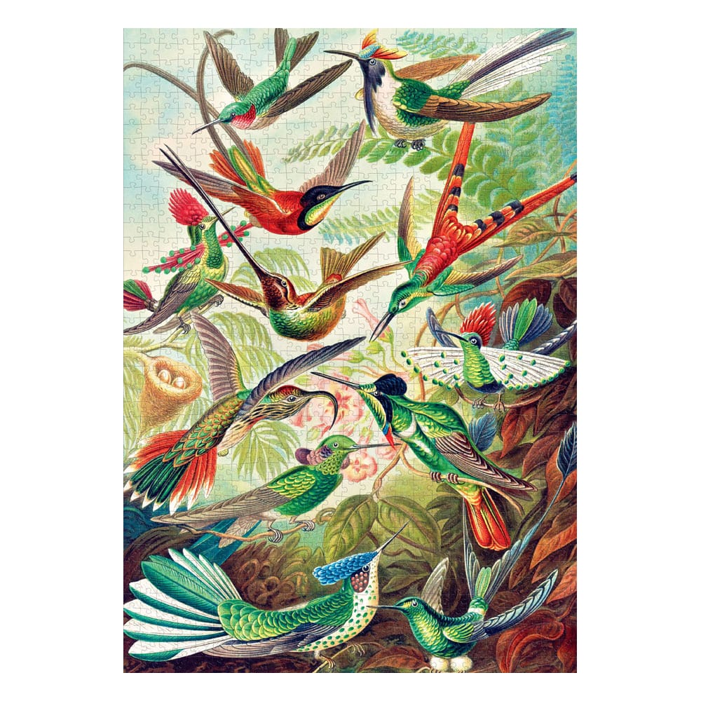 Ernst Haeckel puzzle Imagination Hummingbirds/Kolibry (1000 pièces)