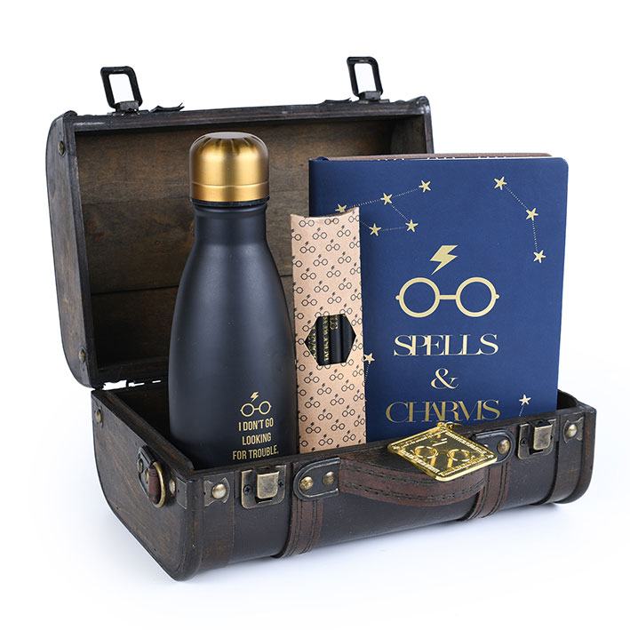 Harry Potter coffret cadeau Trouble Finds Me