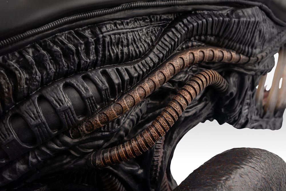 Alien Romulus buste 1/1 Xenomorph 53 cm