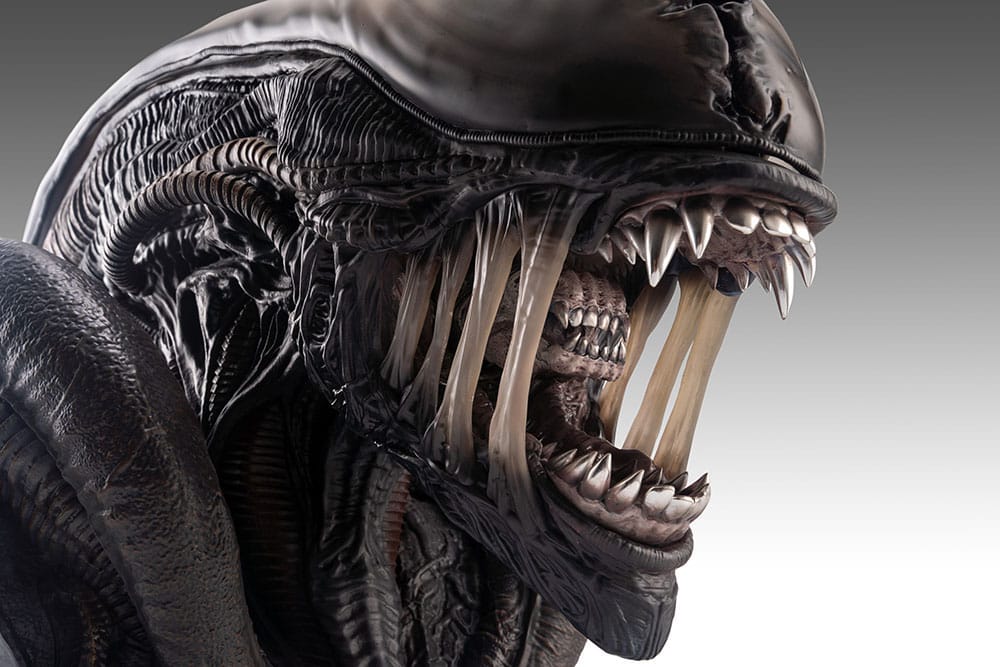 Alien Romulus buste 1/1 Xenomorph 53 cm