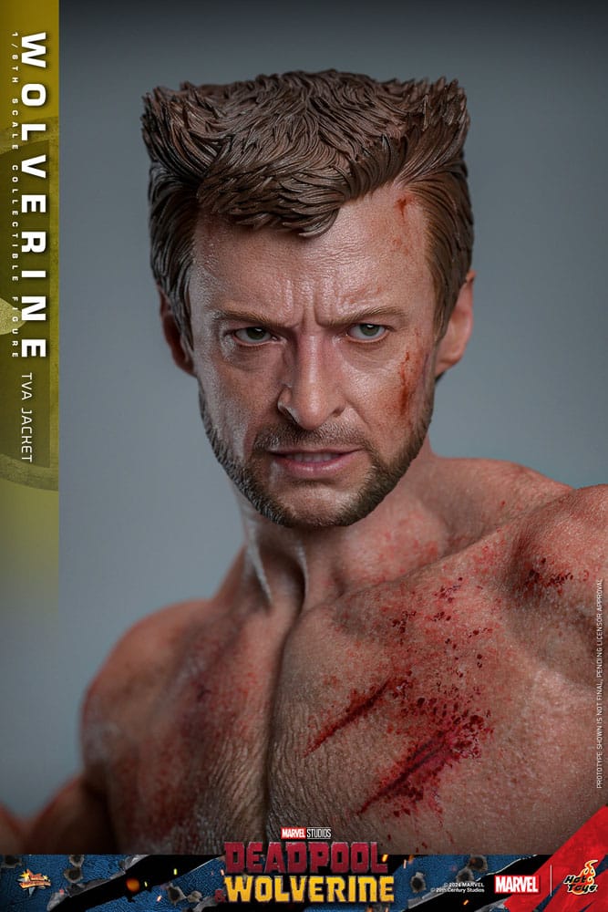 Deadpool & Wolverine Movie Masterpiece figurine 1/6 Wolverine (TVA Jacket Version) 31 cm