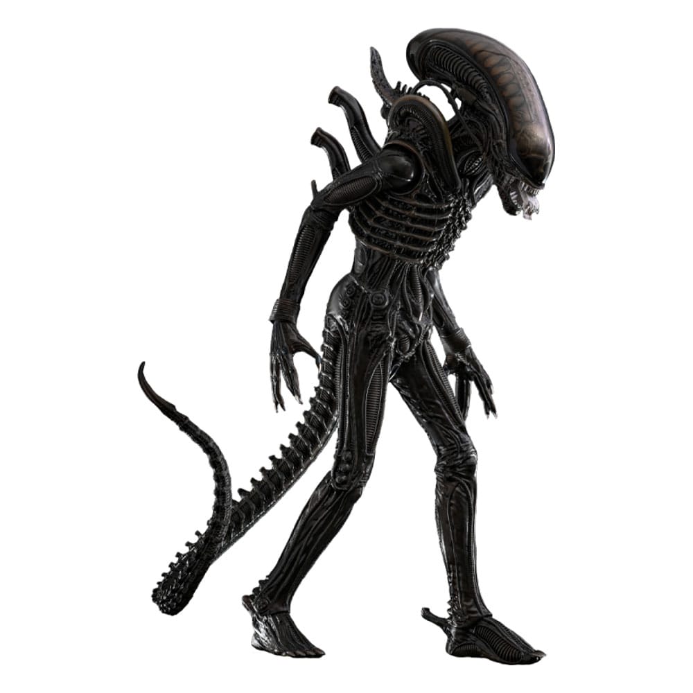 Alien figurine Movie Masterpiece 1/6 Big Chap 36 cm