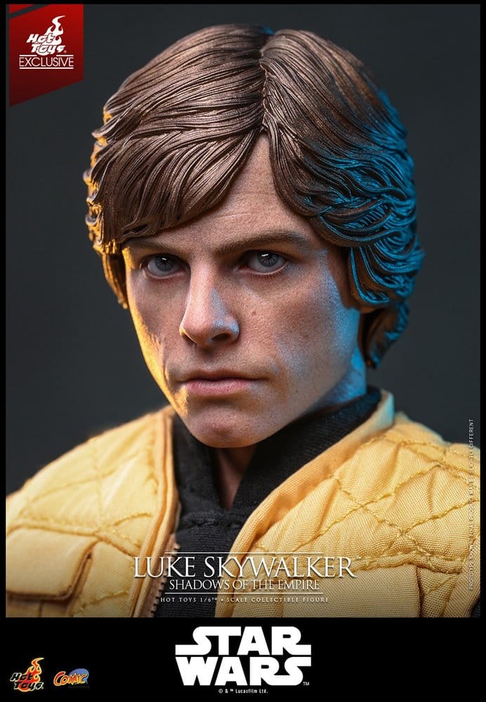 Star Wars Comic Masterpiece figurine 1/6 Luke Skywalker (Shadows Of The Empire) (Hot Toys Exclusive) 28 cm