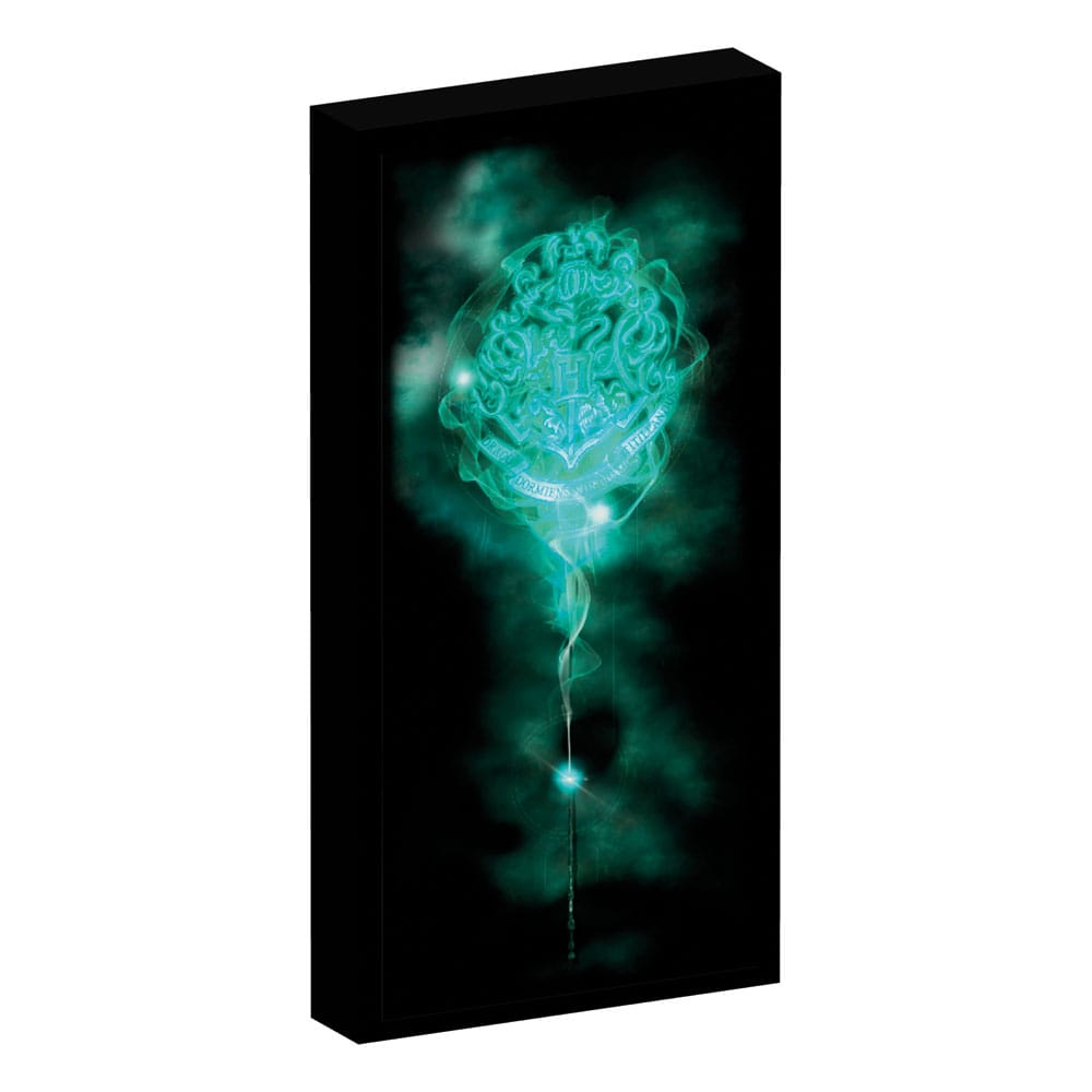 Harry Potter poster toile (lumineux)