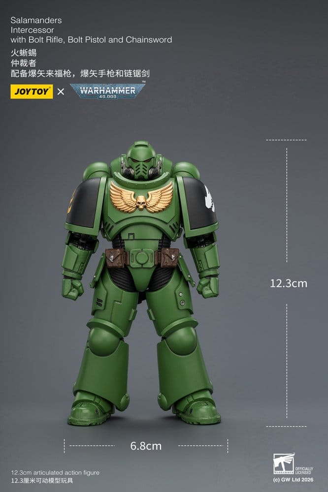 Warhammer 40,000 figurine Salamanders Intercessor 12 cm