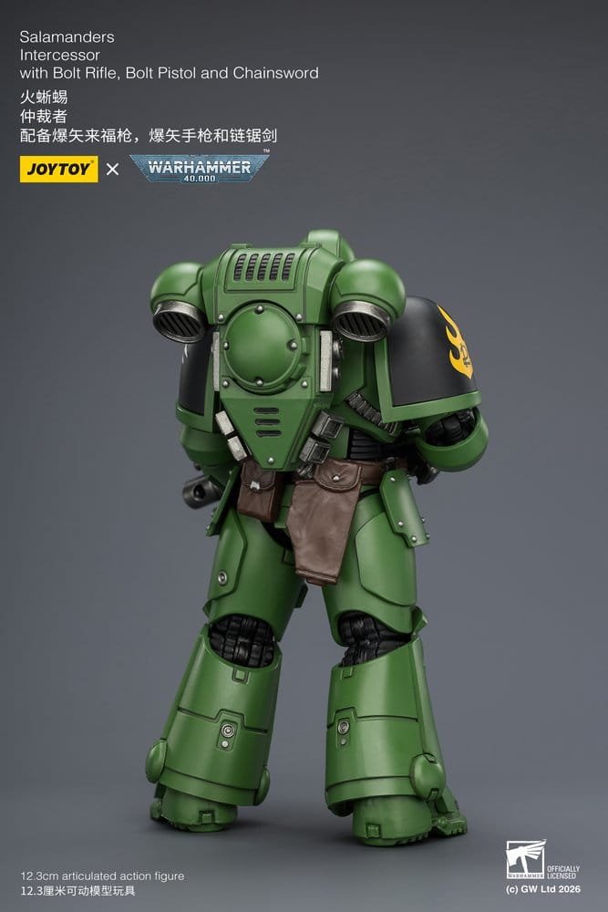 Warhammer 40,000 figurine Salamanders Intercessor 12 cm