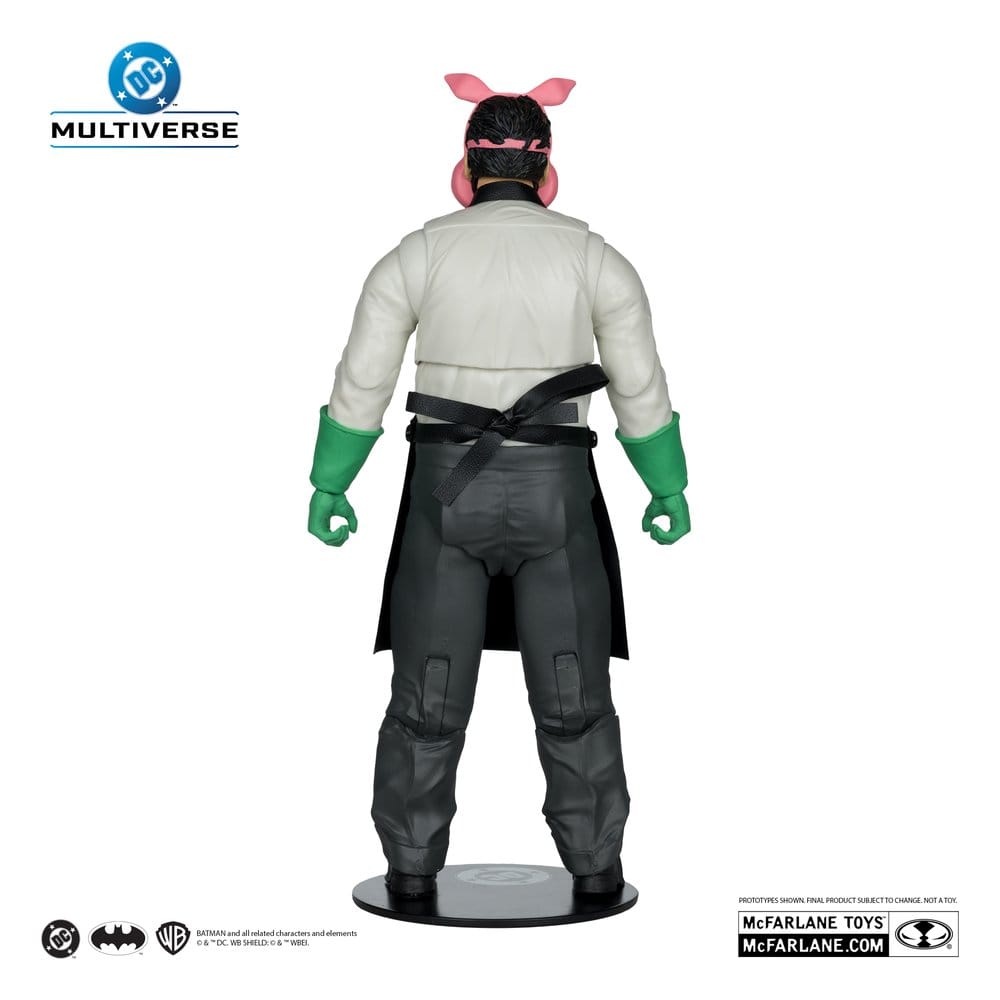 DC Multiverse McFarlane Collector Edition assortiment figurine Wave 13 18 cm (6)