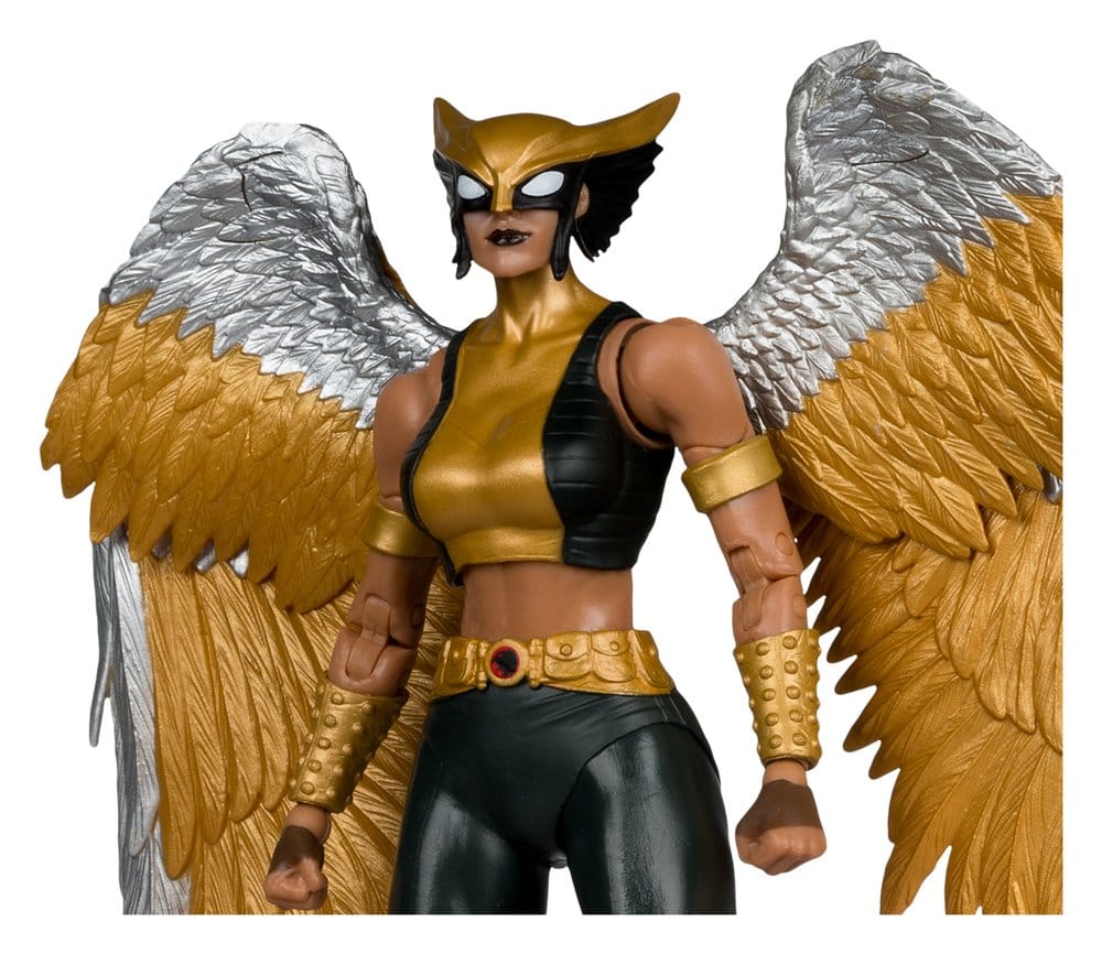 DC Multiverse McFarlane Collector Edition figurine Hawkgirl (Kendra Saunders) 28 cm