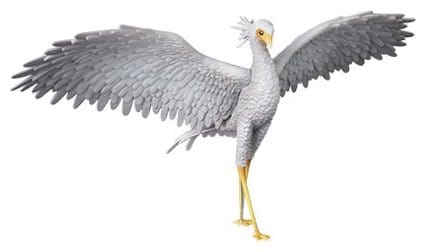Flow figurine PVC UDF Secretarybird