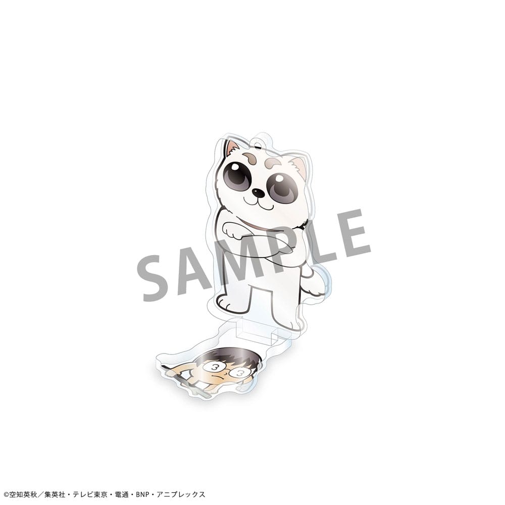 Gintama x Okawabukubu assortiment figurines acrylique 11 cm (8)