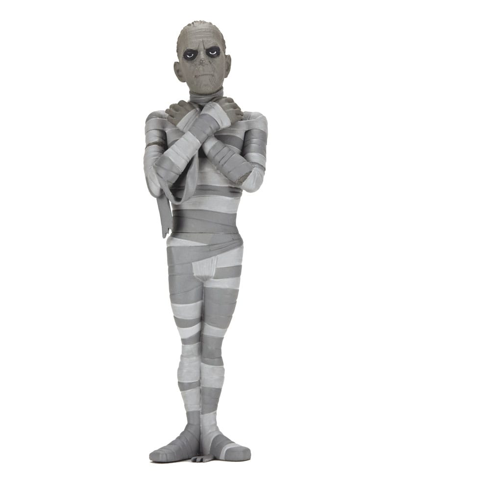 Universal Monsters Toony Terrors assortiment figurines 15 cm Silver Screen Edition Series 10 (12)