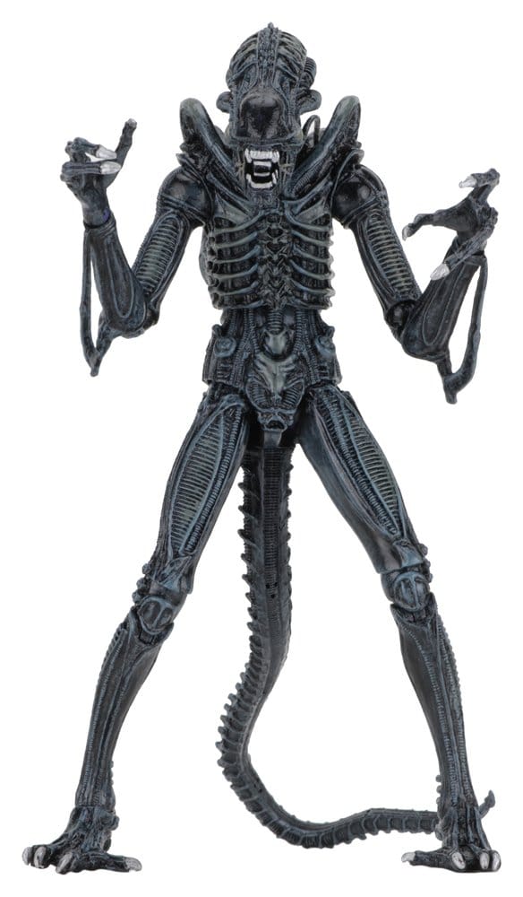 Aliens Ultimate figurine Warrior (1986) Blue 23 cm