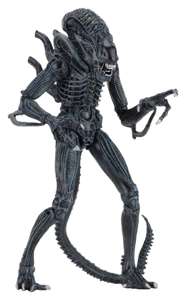 Aliens Ultimate figurine Warrior (1986) Blue 23 cm