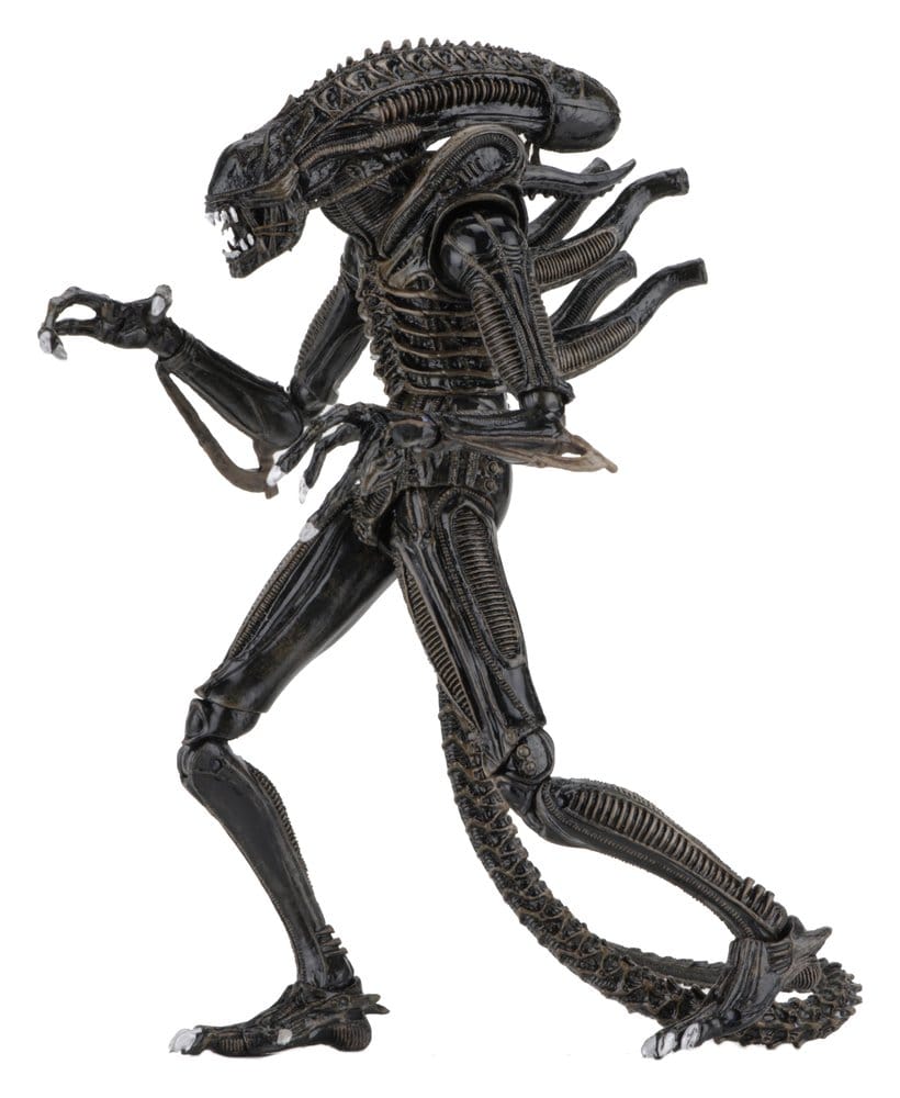 Aliens Ultimate figurine Warrior (1986) Brown 23 cm