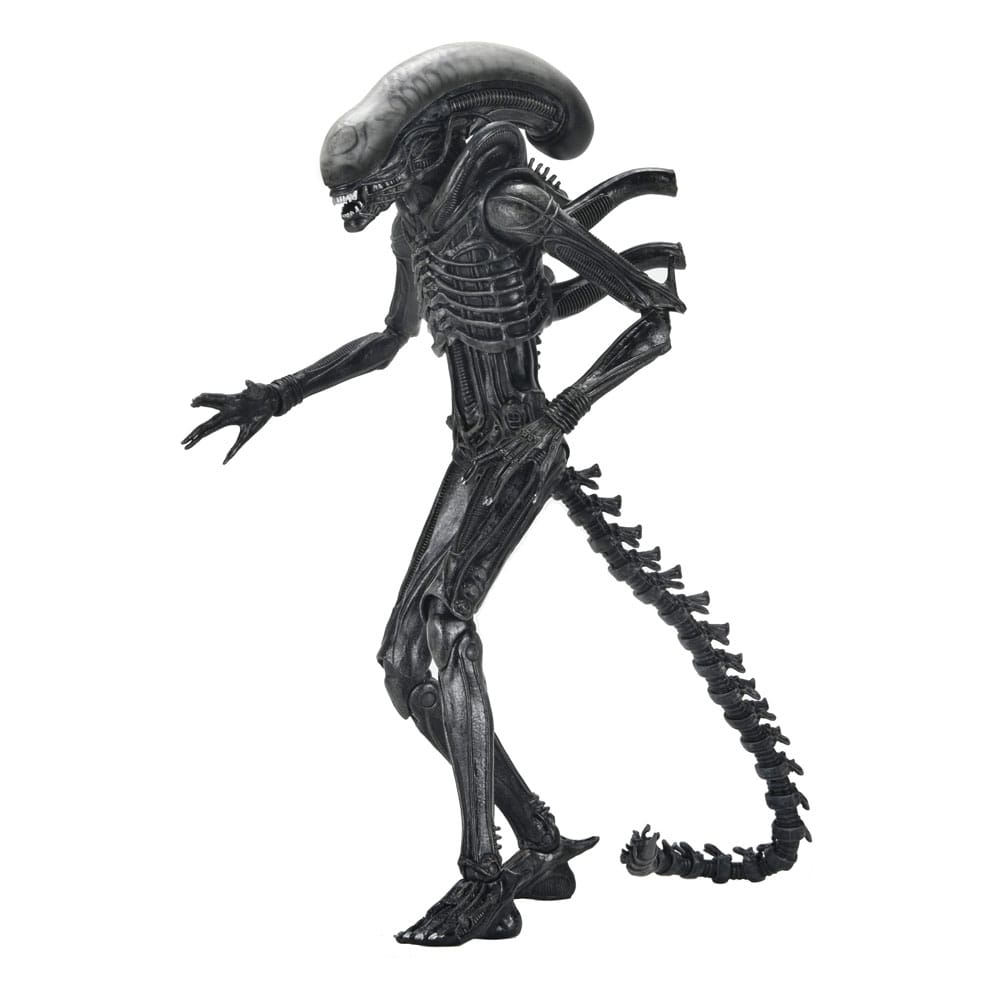 Alien: Romulus figurine Ultimate Xenomorph XX121 18 cm