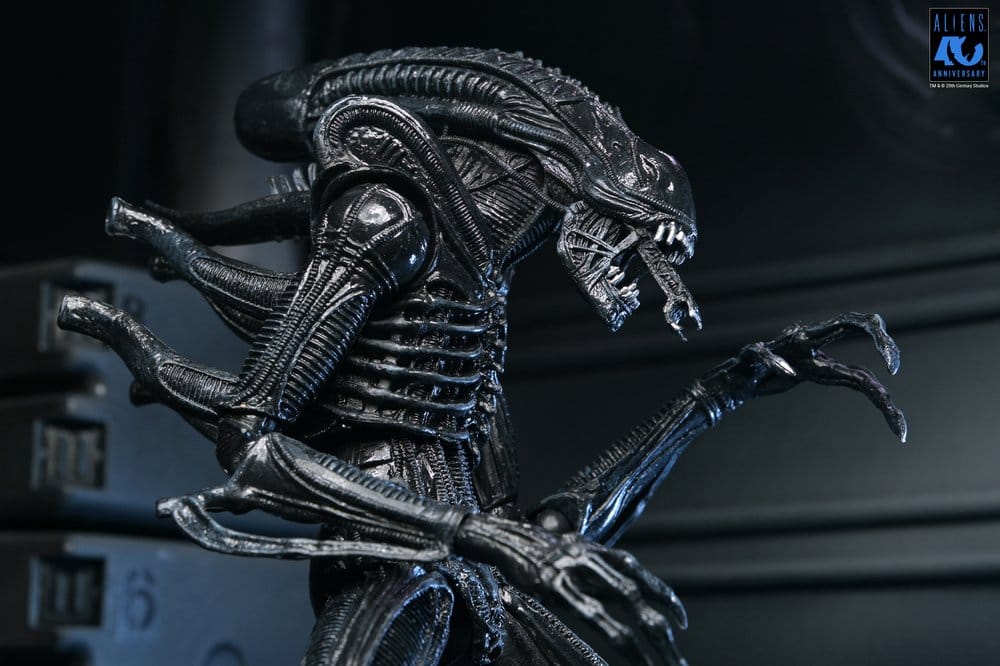 Aliens Ultimate figurine Warrior (1986) Xenomorph Black (40th Anniversary) 23 cm