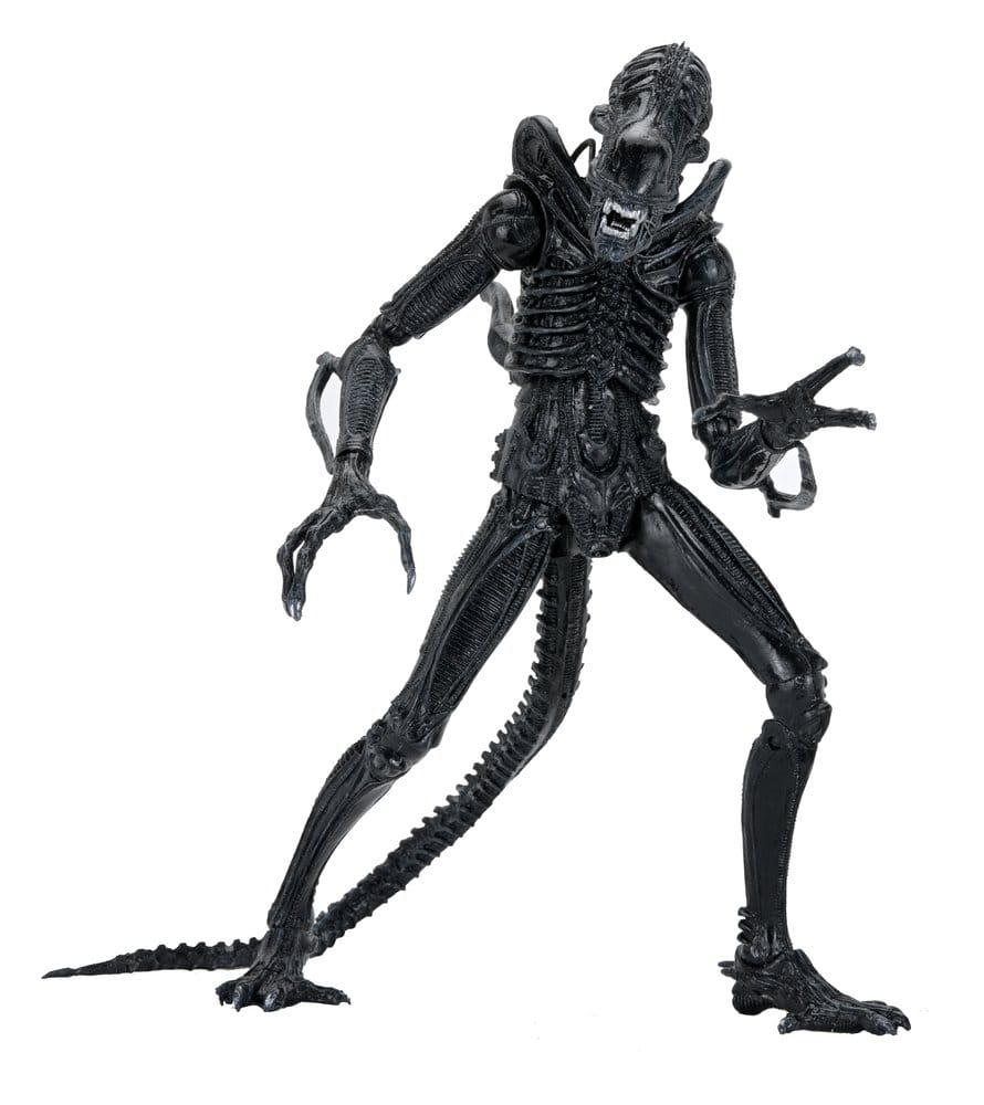 Aliens Ultimate figurine Warrior (1986) Xenomorph Black (40th Anniversary) 23 cm