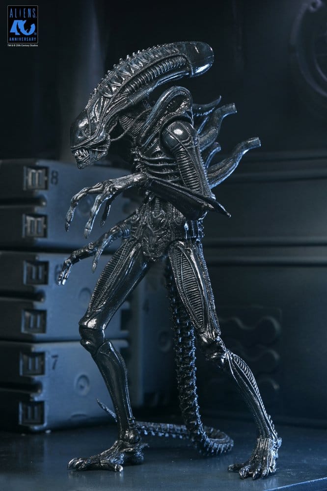 Aliens Ultimate figurine Warrior (1986) Xenomorph Black (40th Anniversary) 23 cm