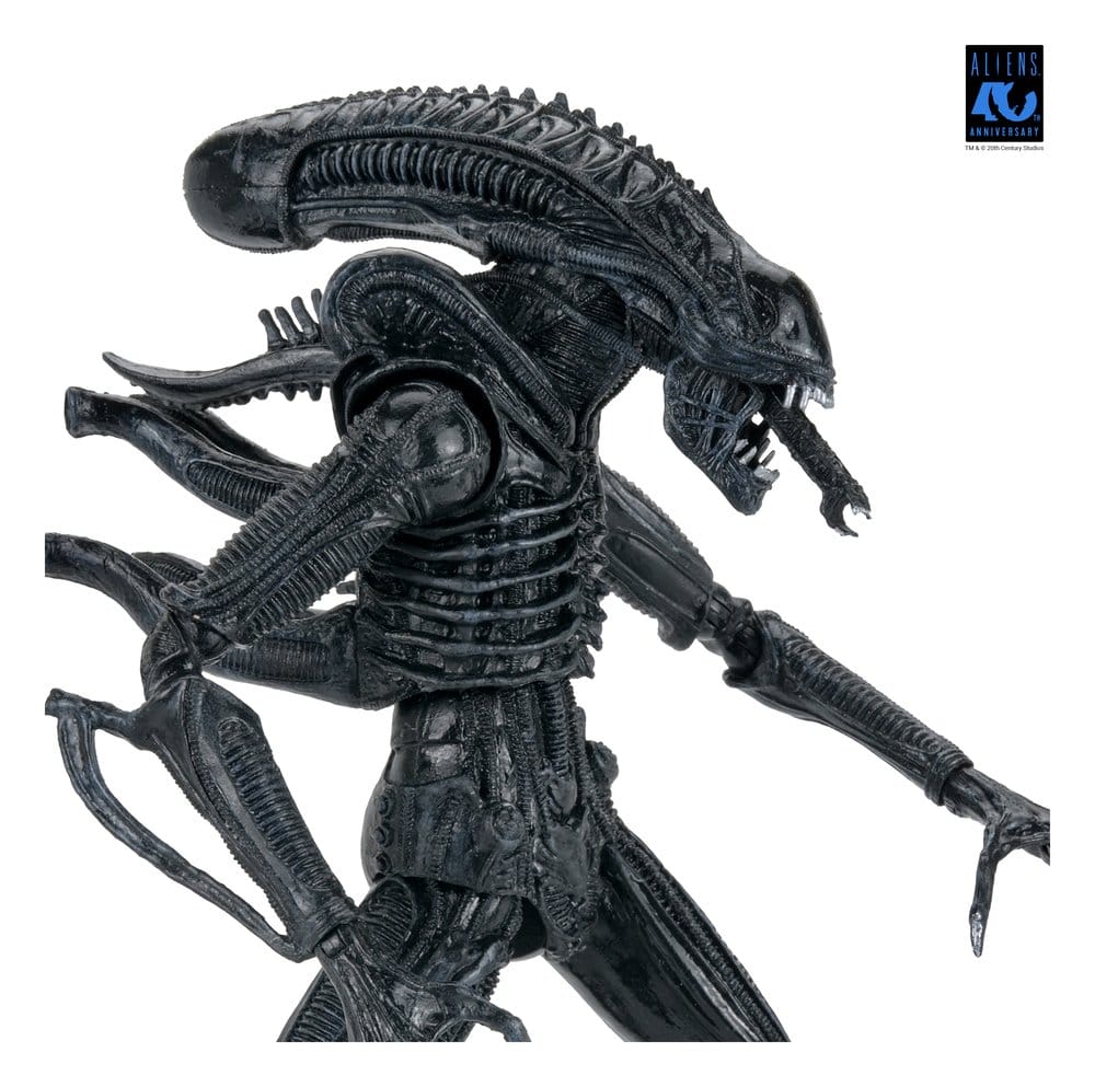 Aliens Ultimate figurine Warrior (1986) Xenomorph Black (40th Anniversary) 23 cm