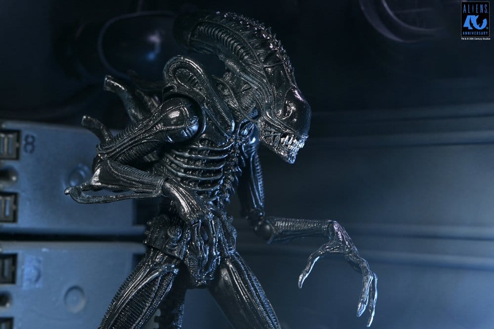 Aliens Ultimate figurine Warrior (1986) Xenomorph Black (40th Anniversary) 23 cm