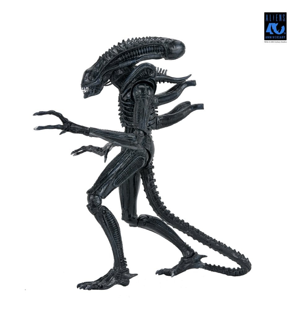 Aliens Ultimate figurine Warrior (1986) Xenomorph Black (40th Anniversary) 23 cm
