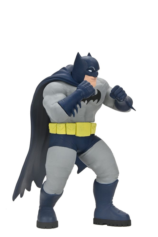 DC Comics assortiment figurines Series 2 15 cm (12)