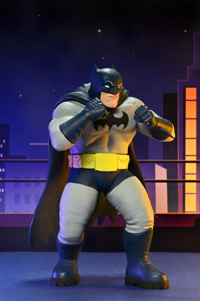 DC Comics assortiment figurines Series 2 15 cm (12)