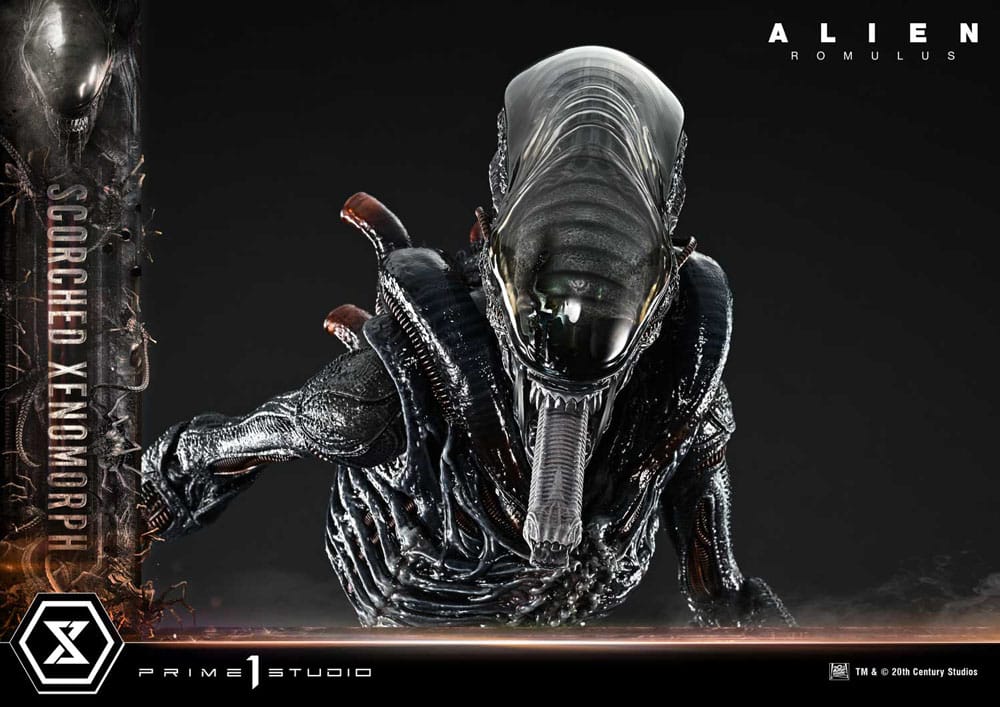 Alien: Romulus statuette Museum Masterline XL 1/3 Scorched Xenomorph Deluxe Version 98 cm