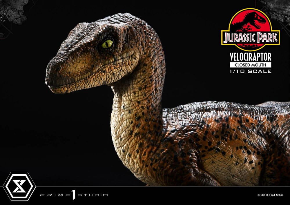 Jurassic Park statuette Prime Collectibles 1/10 Velociraptor Closed Mouth 19 cm