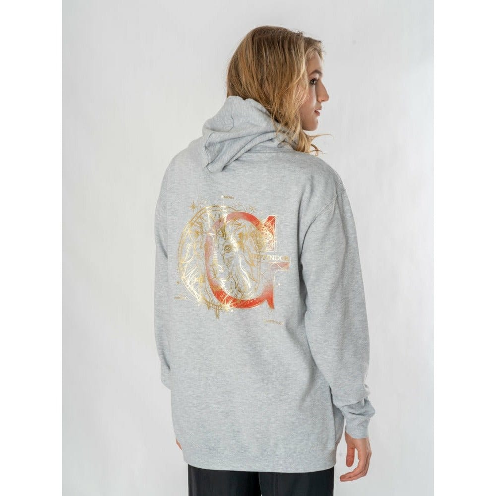 Harry Potter sweater à capuche Gryffindor Zodiac (XXL)