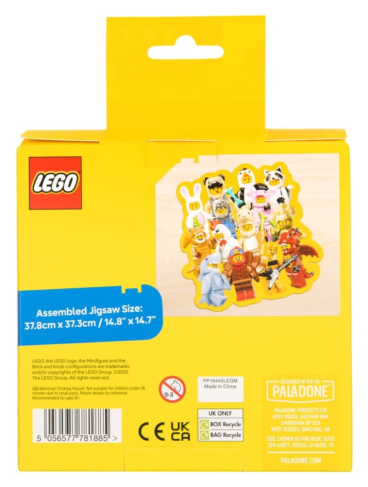Lego puzzle en boîte (250 pièces)
