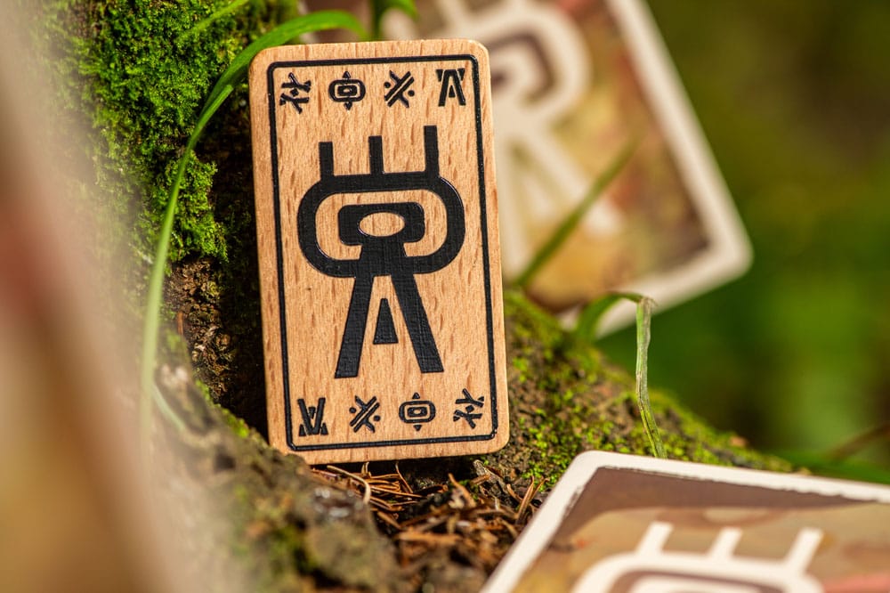 The Vale of Eternity Jeu de cartes *ANGLAIS*