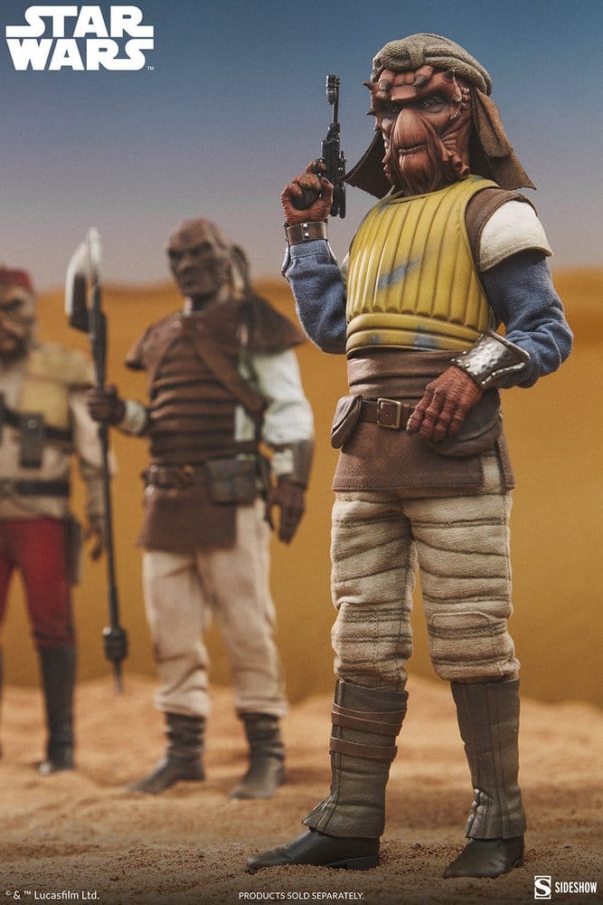 Star Wars figurine 1/6 Vizam 32 cm