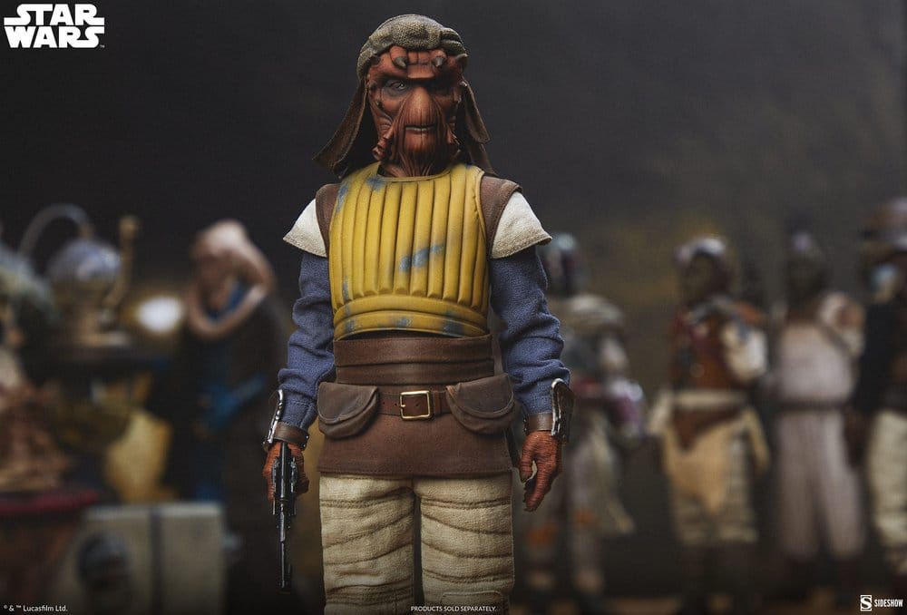 Star Wars figurine 1/6 Vizam 32 cm