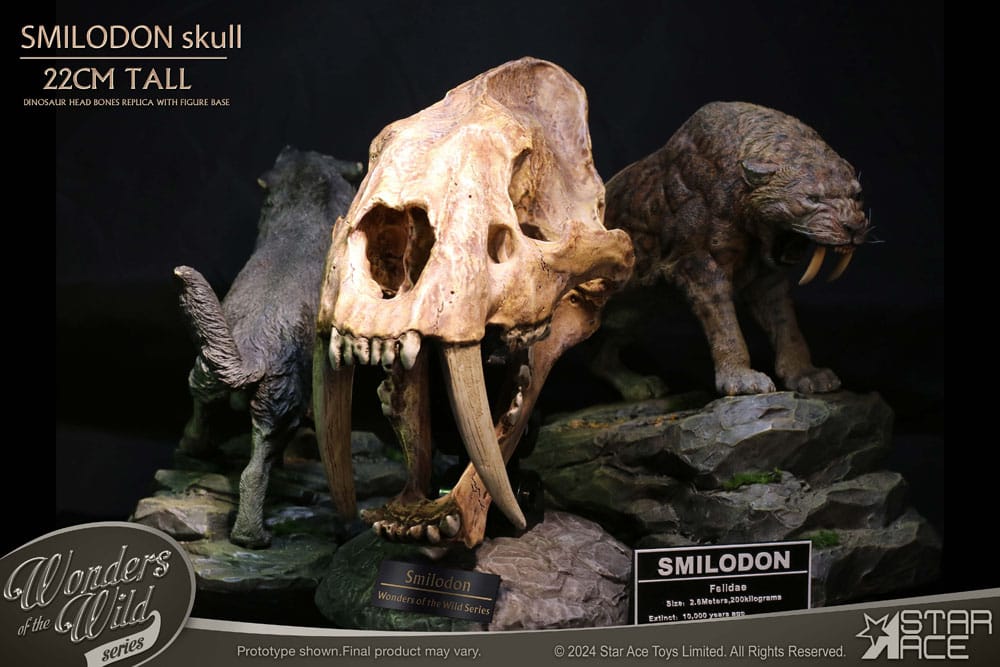 Wonders of the Wild Series statuette Smilodon Skull Fossil 22 cm