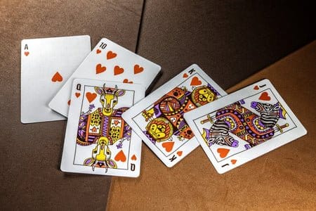 Theory 11  jeu de cartes à jouer Animal Kingdom
