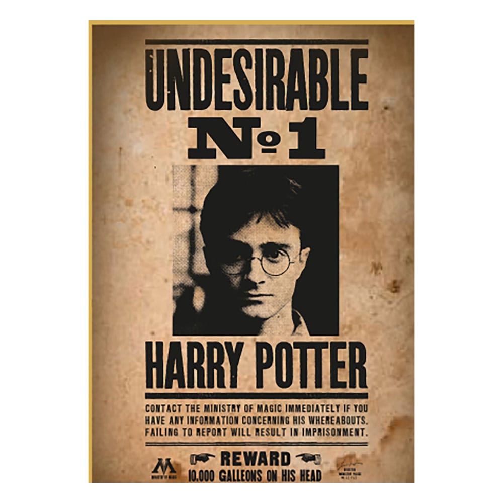 Harry Potter puzzle Wanted No1 Harry Potter (50 pièces)