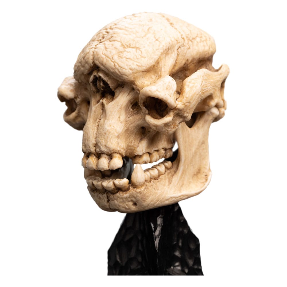 Le Seigneur des Anneaux statuette Skull of a Cave Troll 21 cm