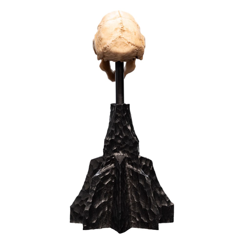 Le Seigneur des Anneaux statuette Skull of a Moria Orc 13 cm