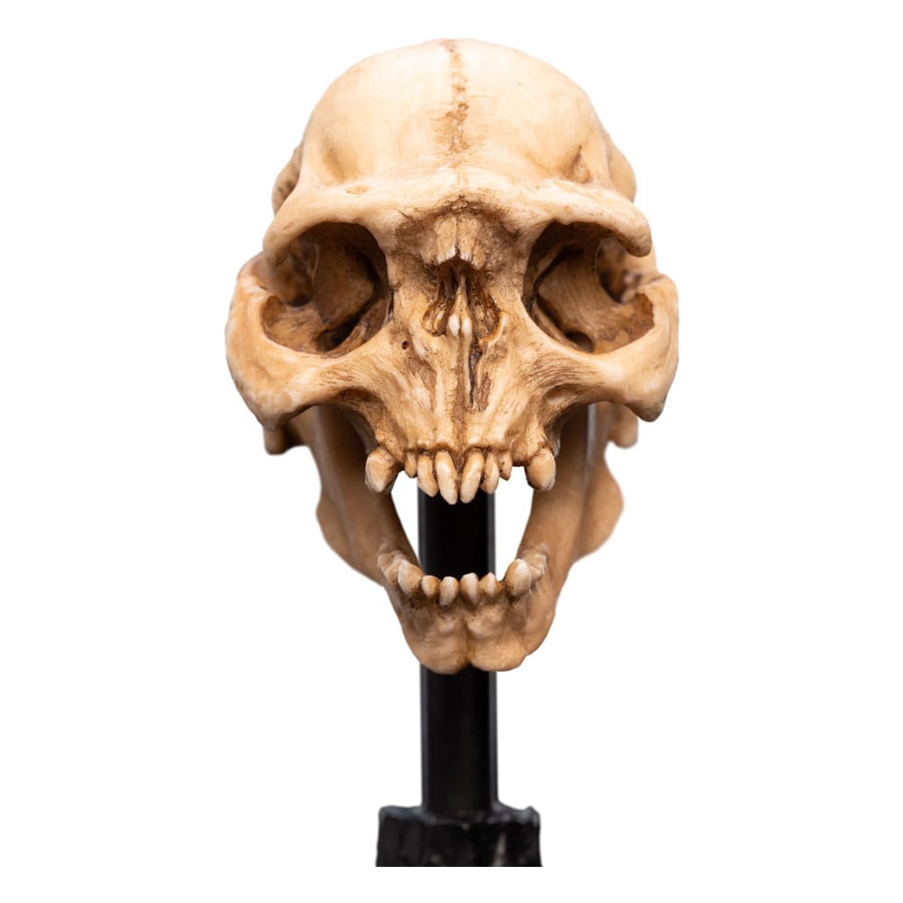 Le Seigneur des Anneaux statuette Skull of a Moria Orc 13 cm
