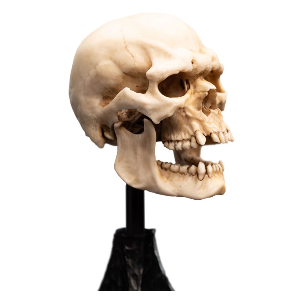 Le Seigneur des Anneaux statuette Skull of a Mordor Orc 14 cm