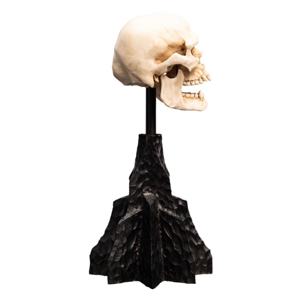 Le Seigneur des Anneaux statuette Skull of a Mordor Orc 14 cm