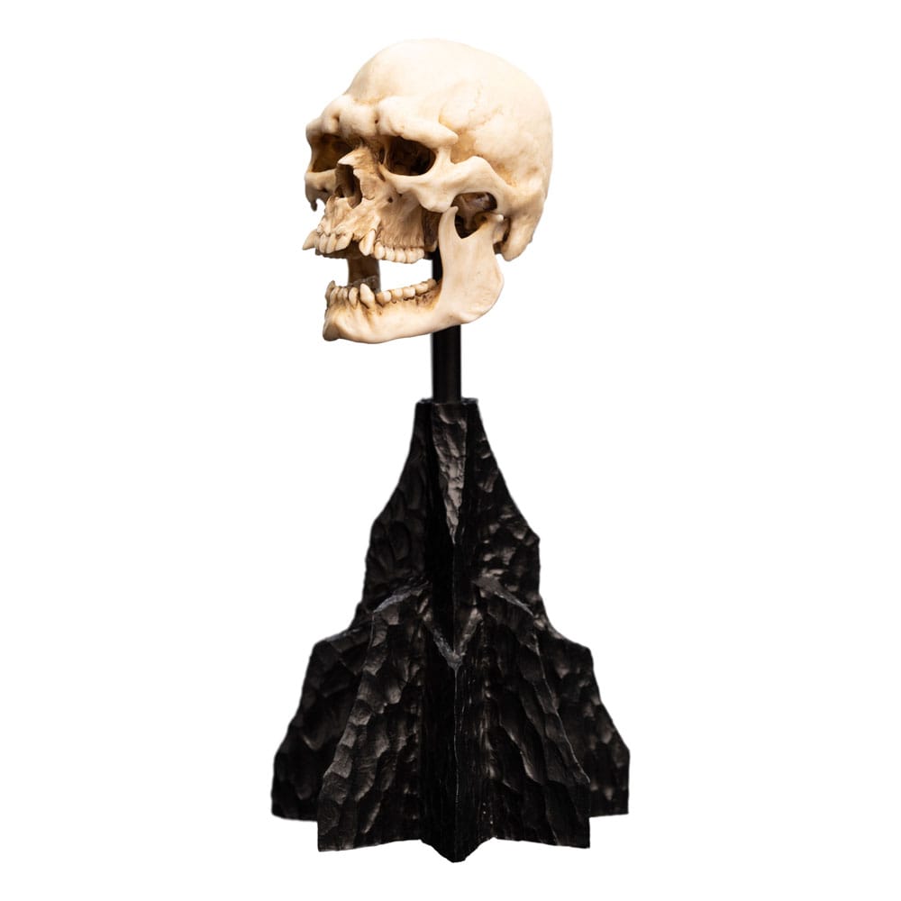 Le Seigneur des Anneaux statuette Skull of a Mordor Orc 14 cm