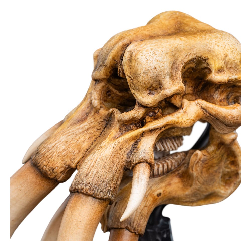 Le Seigneur des Anneaux statuette Skull of a Mumak 15 cm