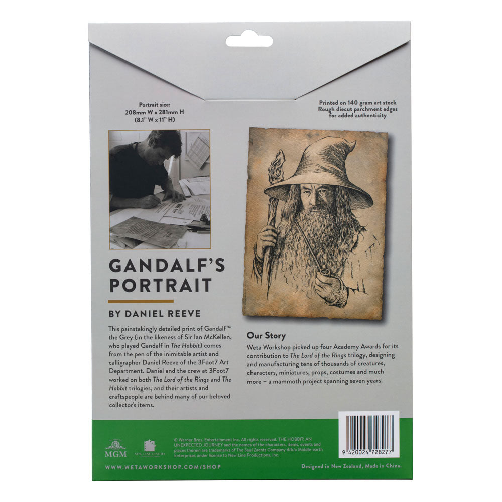 Le Hobbit impression Art Print Portrait of Gandalf the Grey 21 x 28 cm